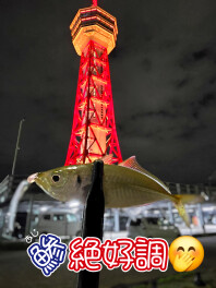 前原釣倶楽部　☆釣果情報☆